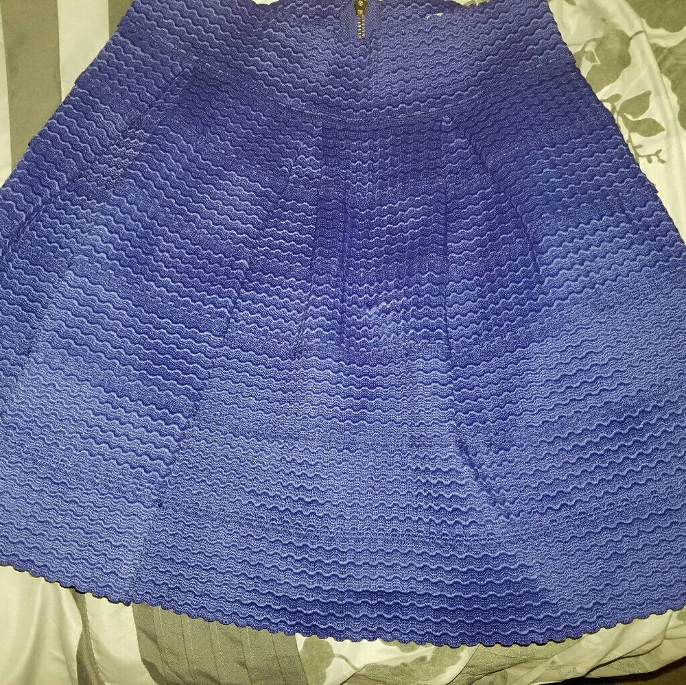Violet Colored Skirt