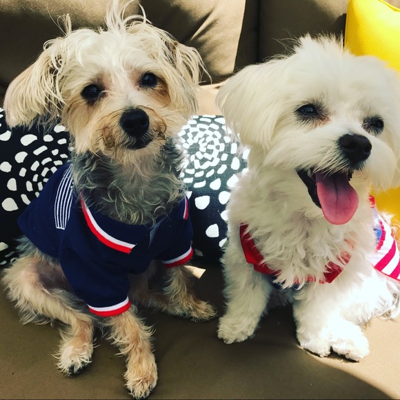 Meet your Posher, Alex - Picture 3 of 4