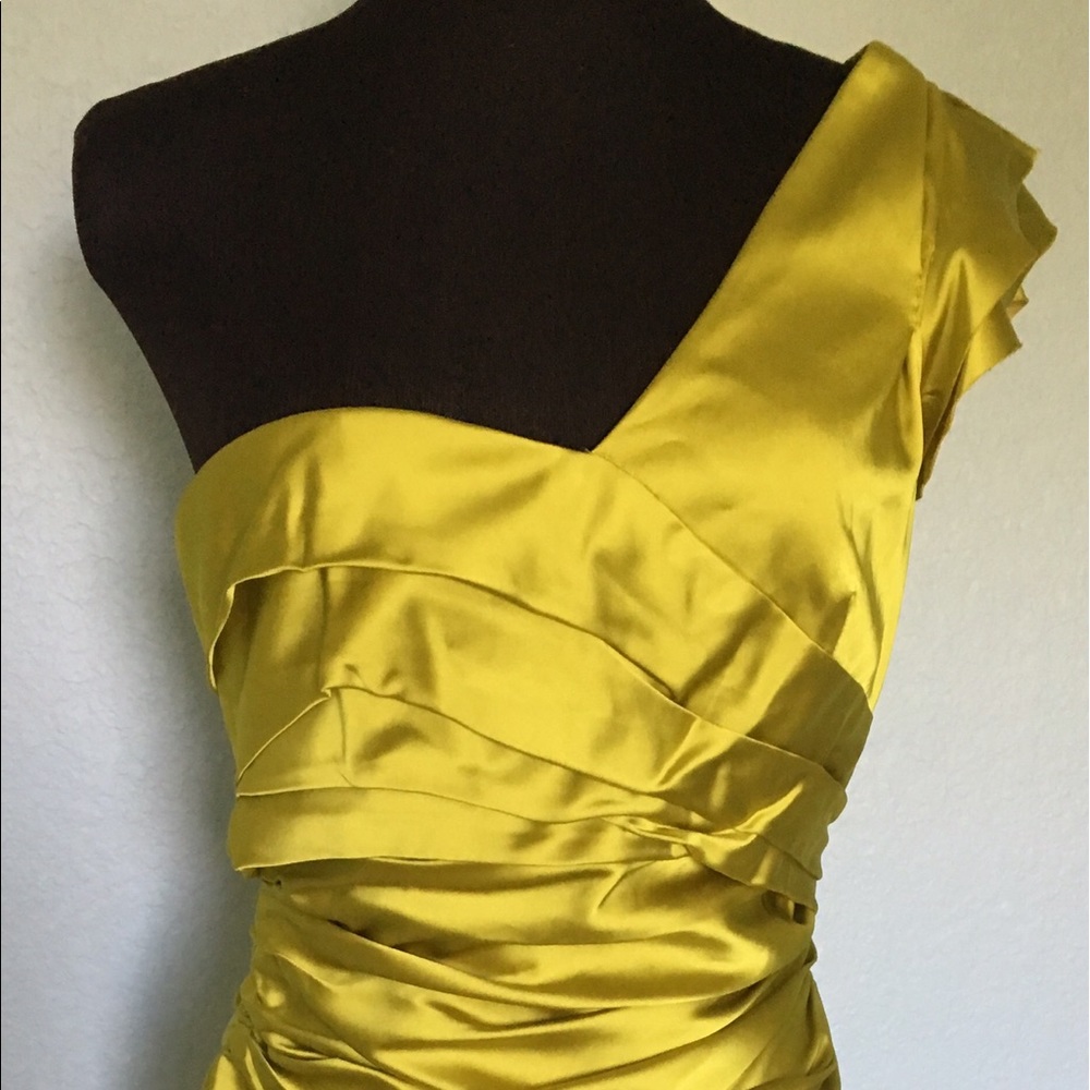 Vera Wang Lavender Label Dress