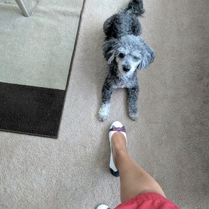 Meet your Posher, Camille