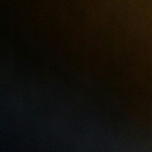 Meet your Posher, Dee