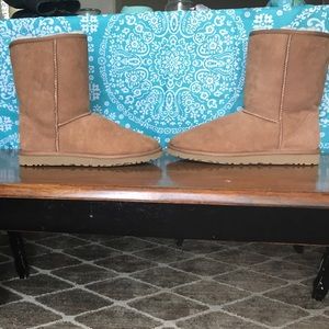 Women's chestnut short Uggs