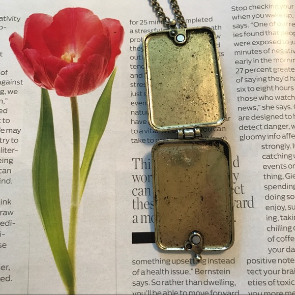 NEW Vintage Look Bird Locket Long Necklace - Picture 4 of 6