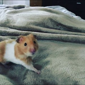 Meet your Posher, Jenny