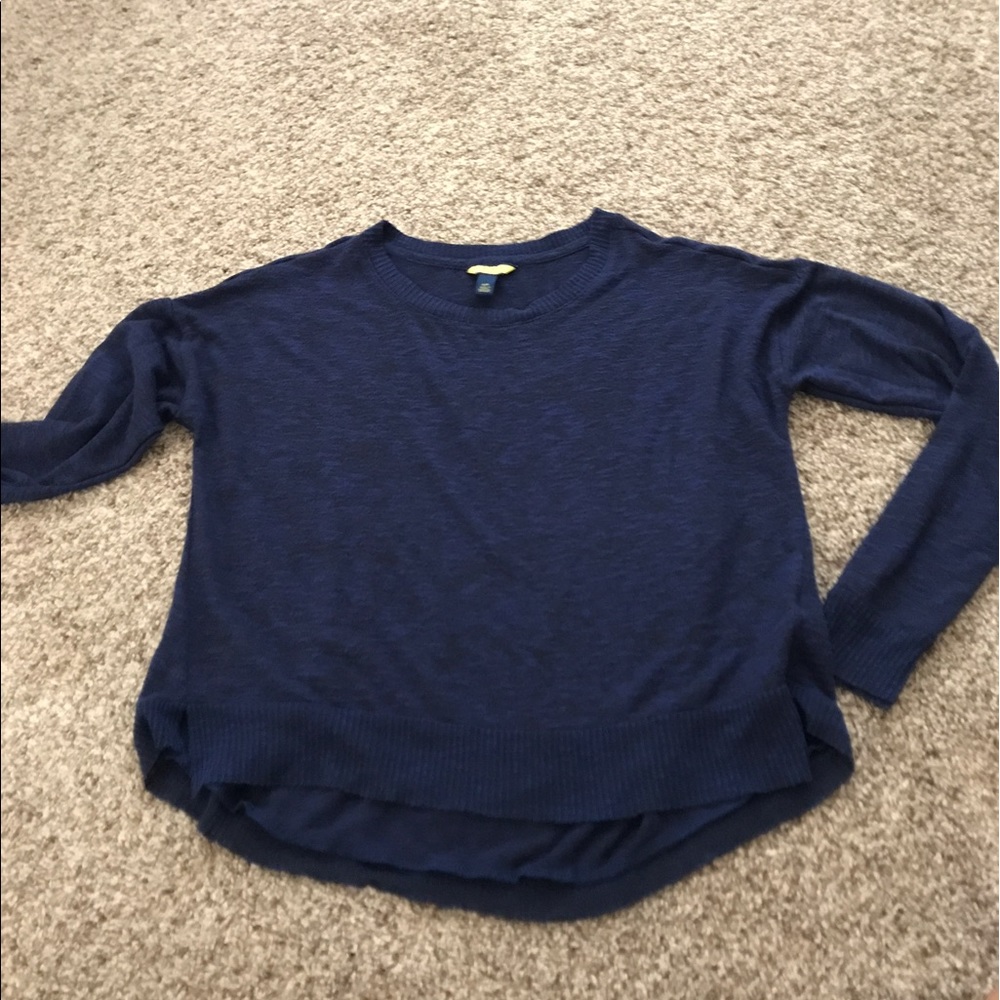 Blue burnout crop sweater
