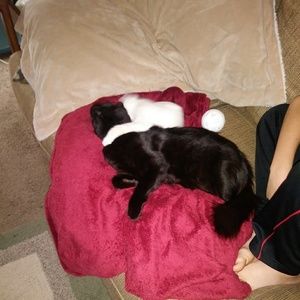 Meet your Posher, Ruth