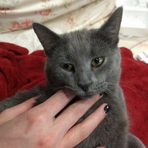 Meet your Posher, Veronica