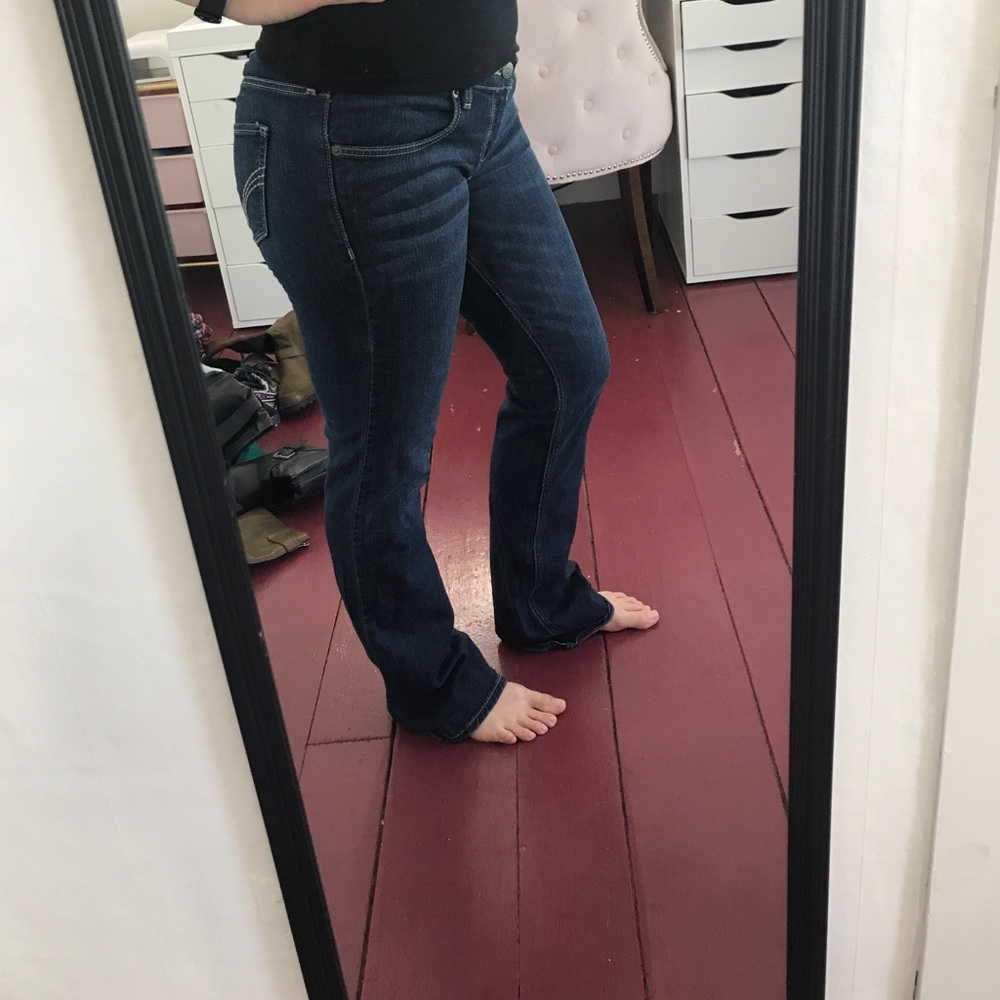 Venice Boot Hollister Jeans