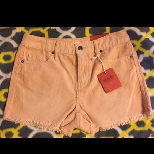 Cute high waisted shorts- size 2