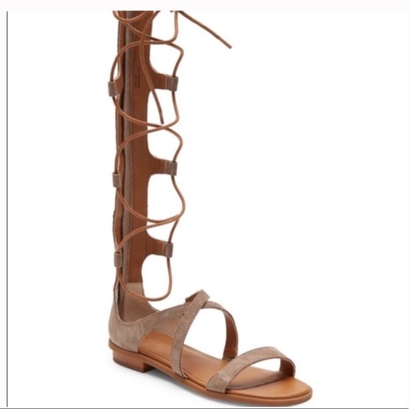 Gladiators by Jeffrey Campbell - Picture 3 of 8