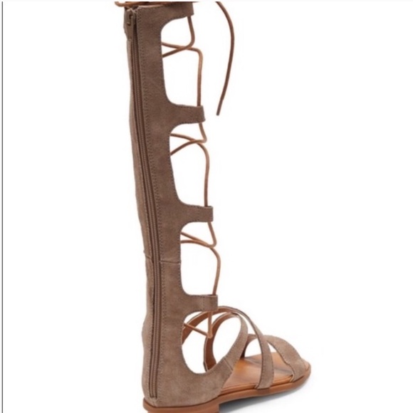 Gladiators by Jeffrey Campbell - Picture 4 of 8