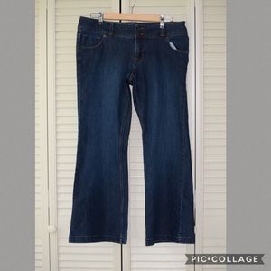 Lands End Jeans 10P