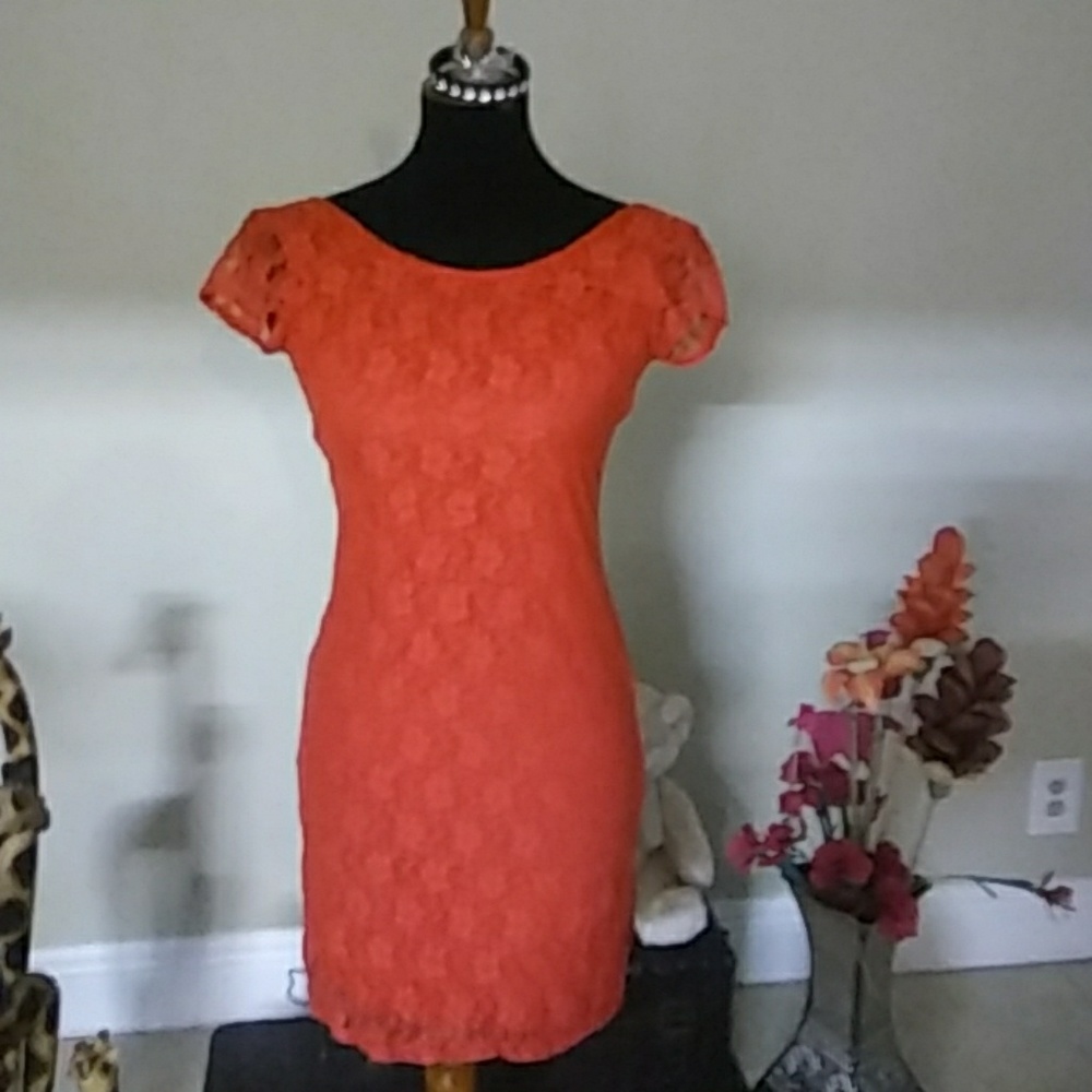 Lacy Mini Dress by velvet torch