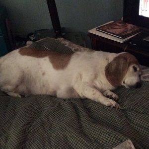 Meet your Posher, Brian