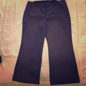 Lane Bryant pants