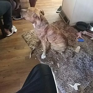 Meet your Posher, Kenneth