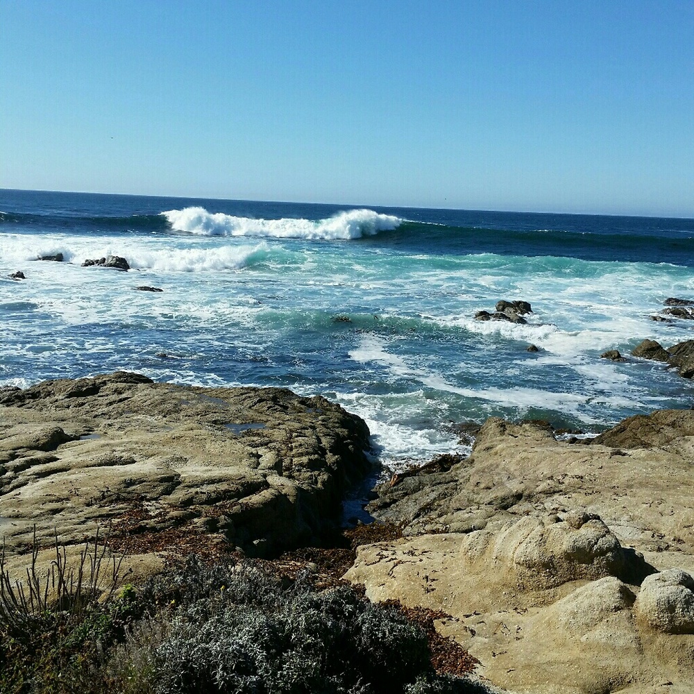 Meet your Posher, Juliann