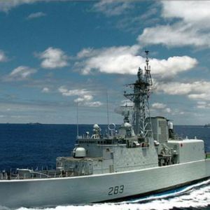 Meet your Posher, Fred