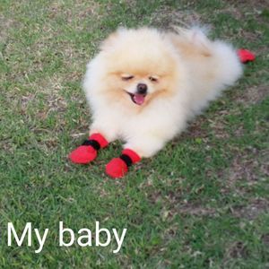 Meet your Posher, Rey