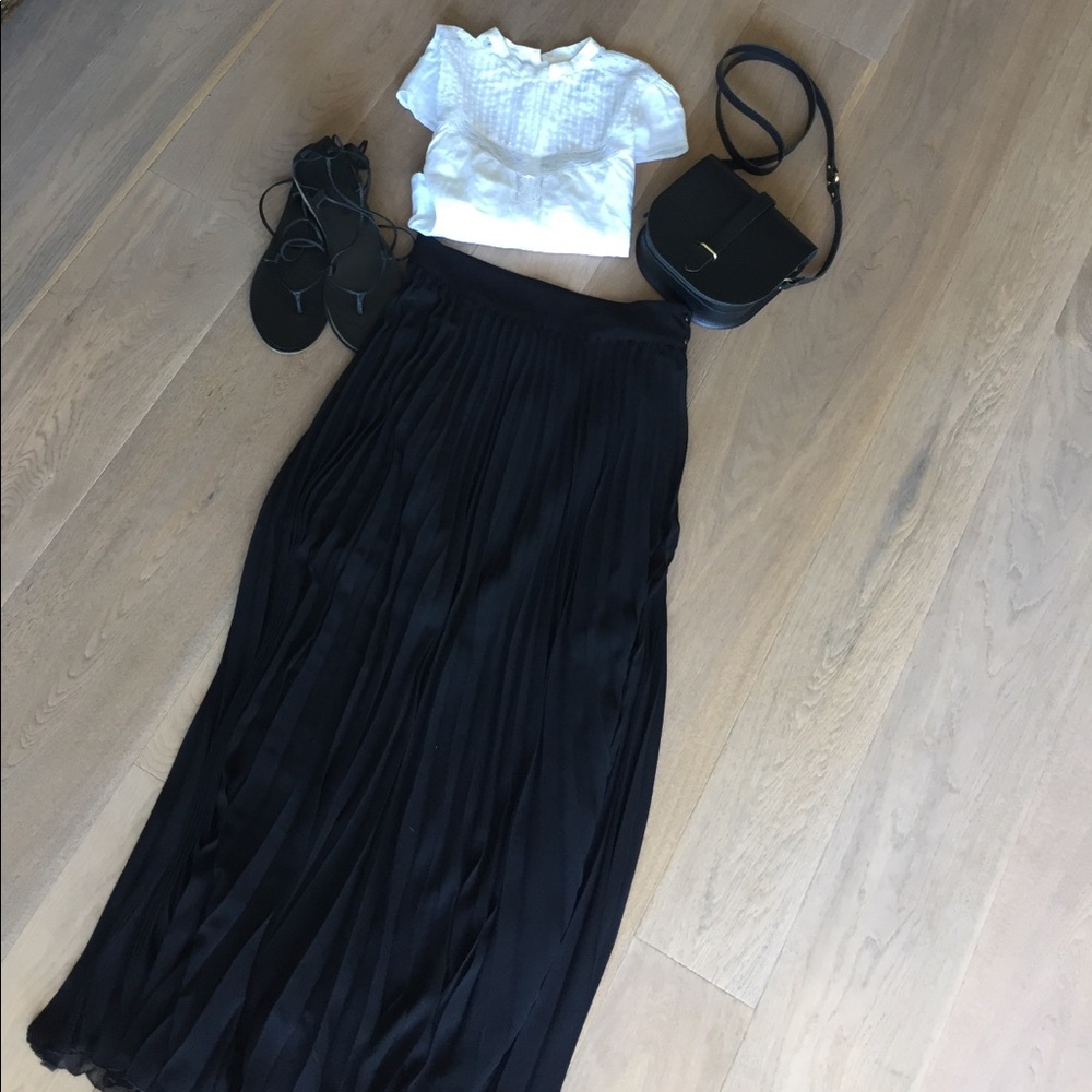 Zara Sheer Maxi Skirt with attached lining