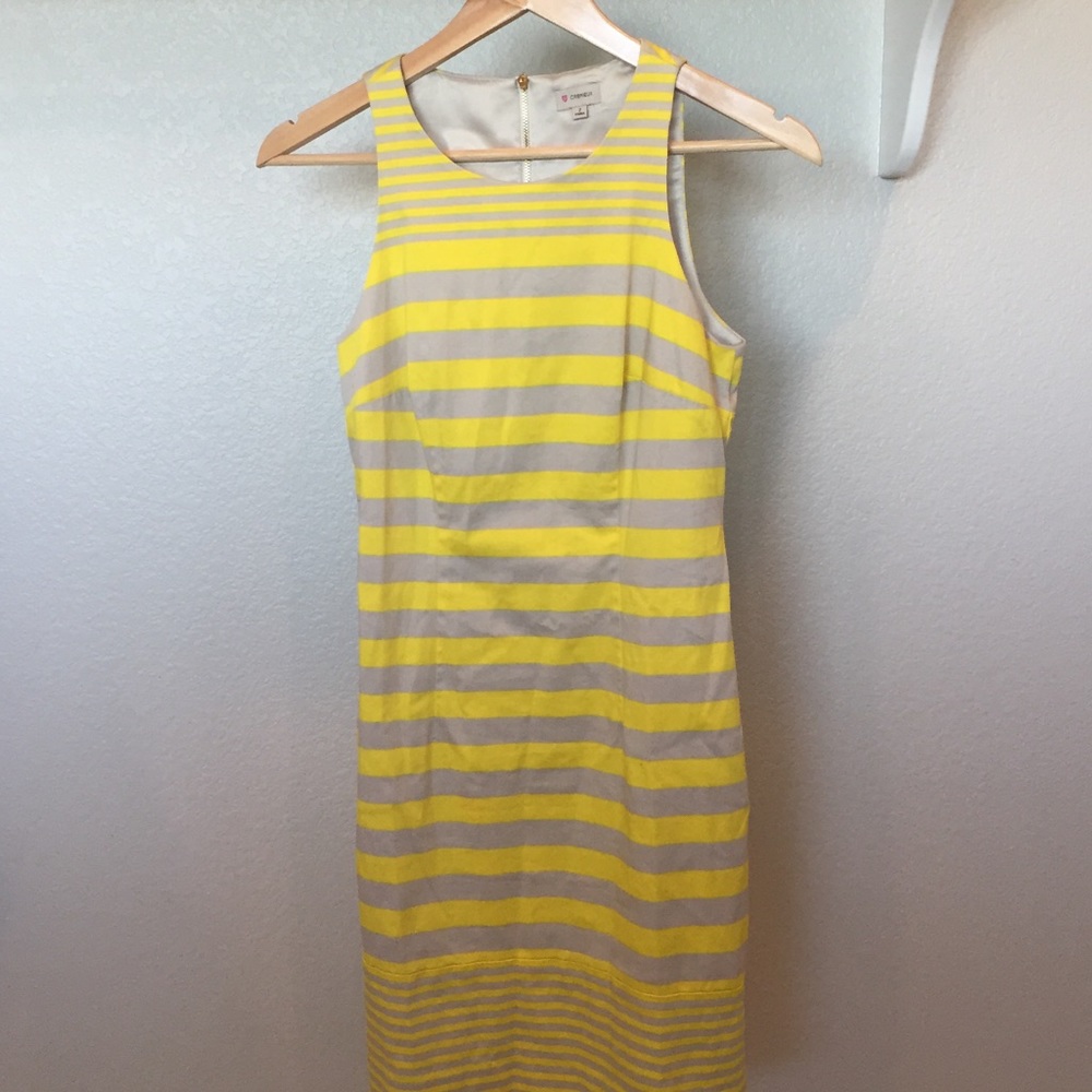 Cremieux striped dress