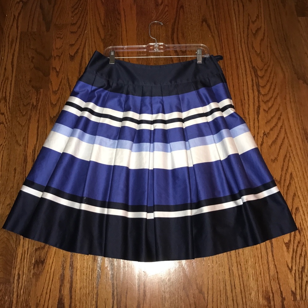 Blue striped skirt