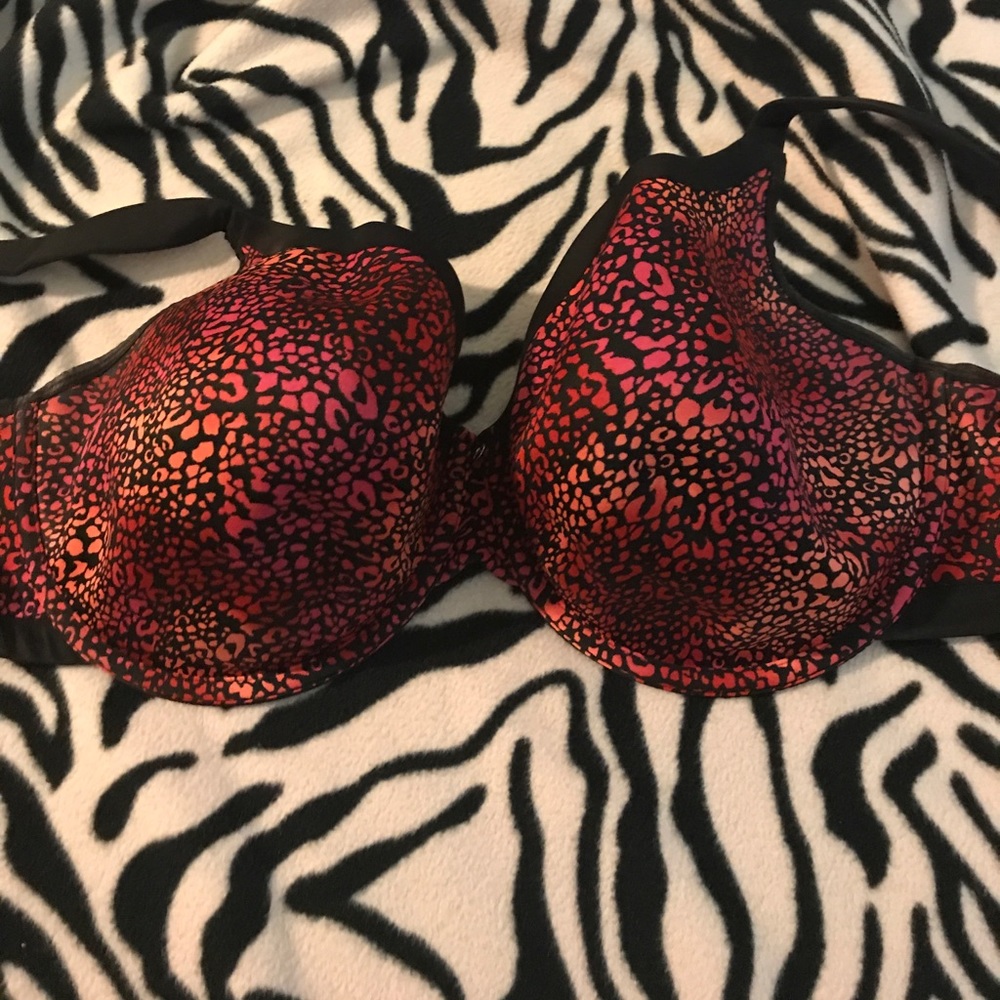 A Cacique Colorful T-Shirt Bra