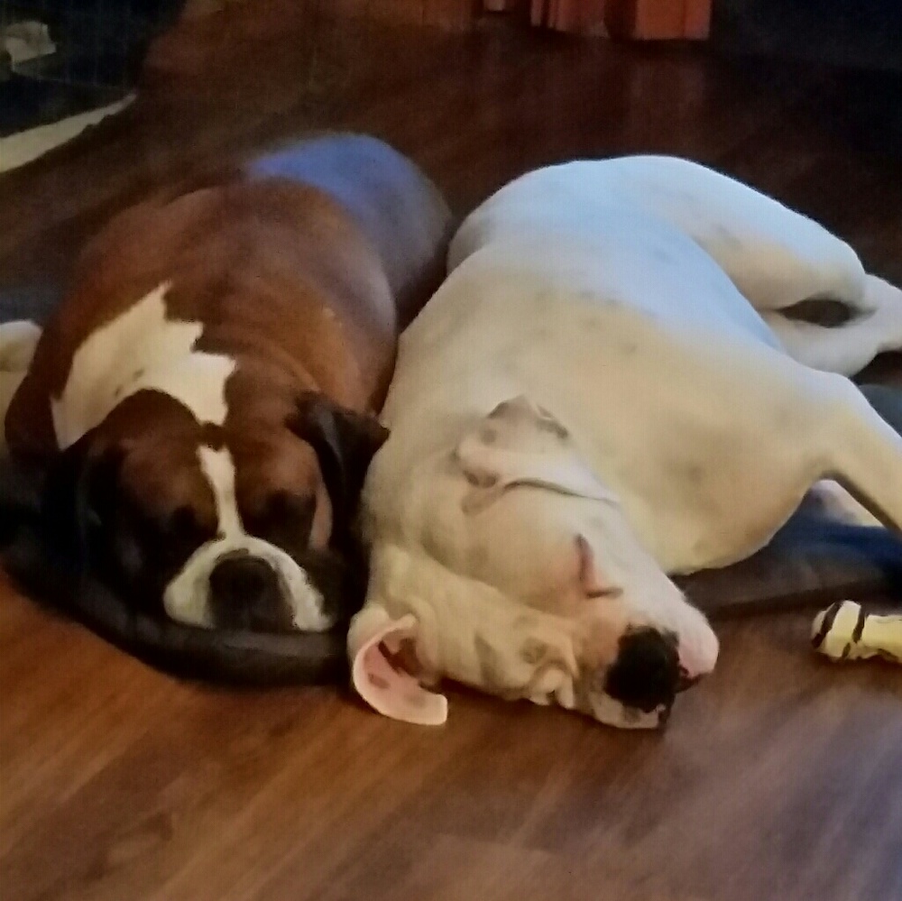 Meet your Posher, Tammy