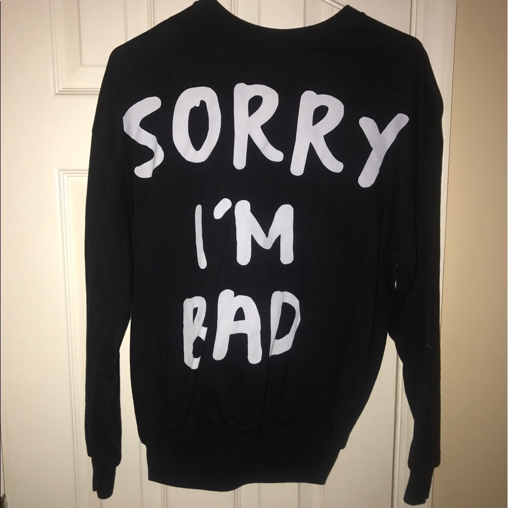Zara's Sorry I'm Bad Sweater