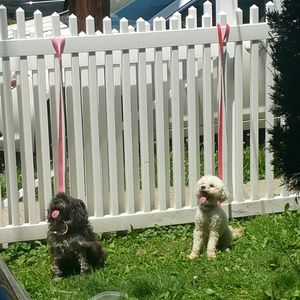 Meet your Posher, Lakeisha