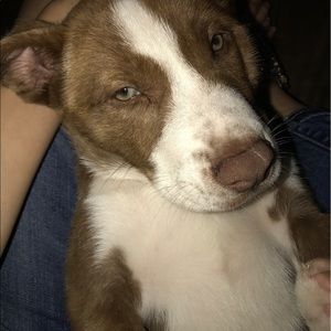 Meet your Posher, Ruth