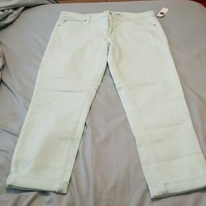 Brand new light blue GAP pants