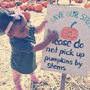 Meet your Posher, Johnathan