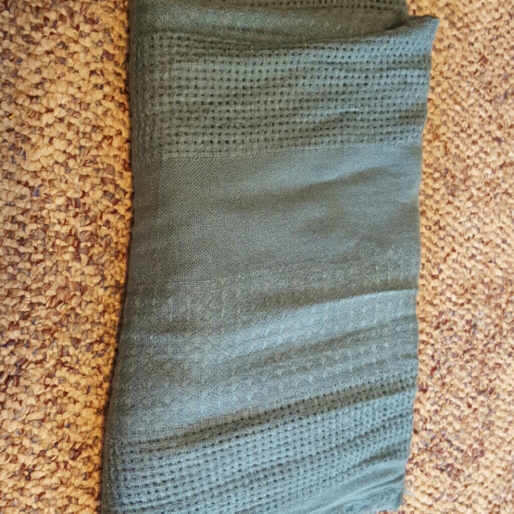 Scarve form a pet free and smoke free home