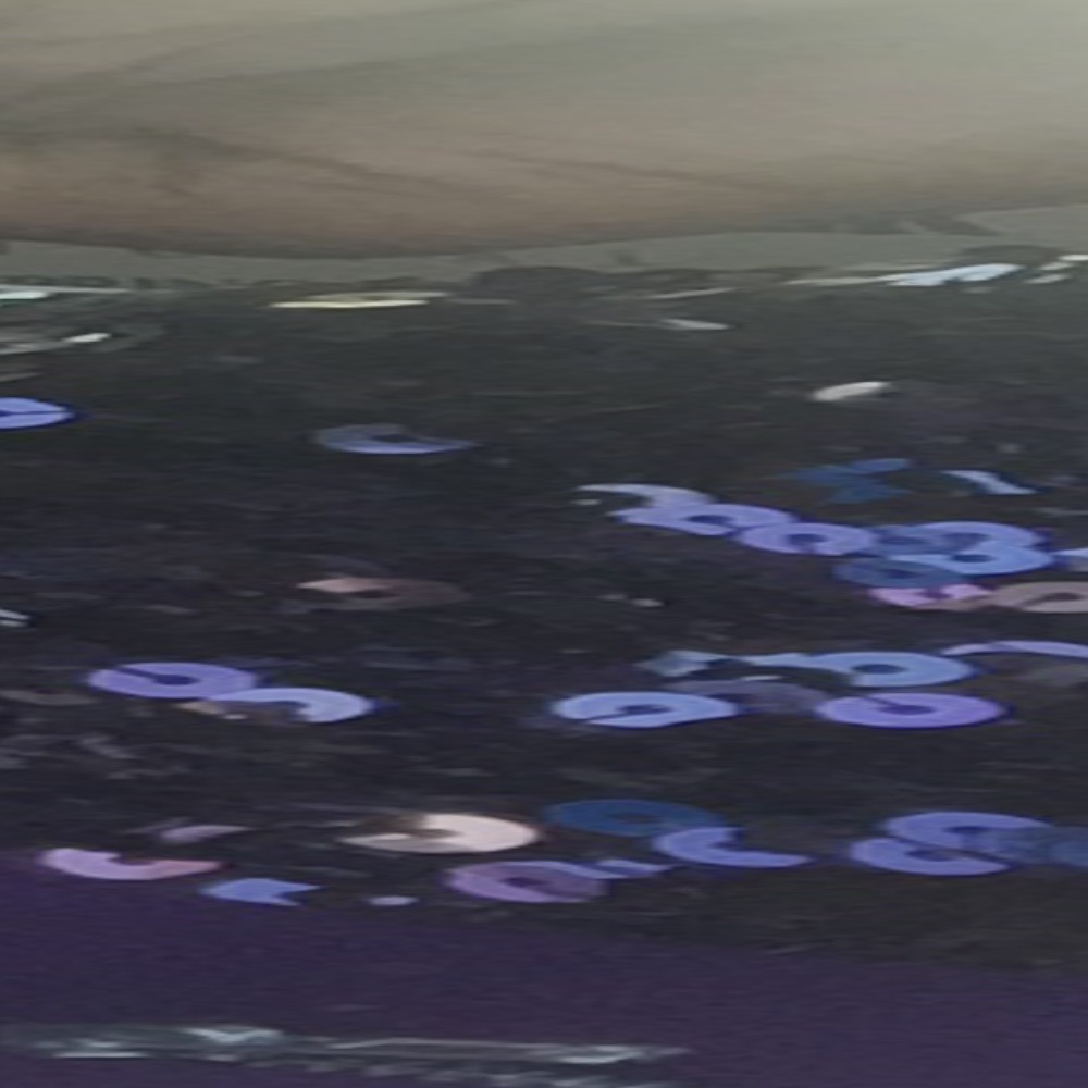 Meet your Posher, Tieysha