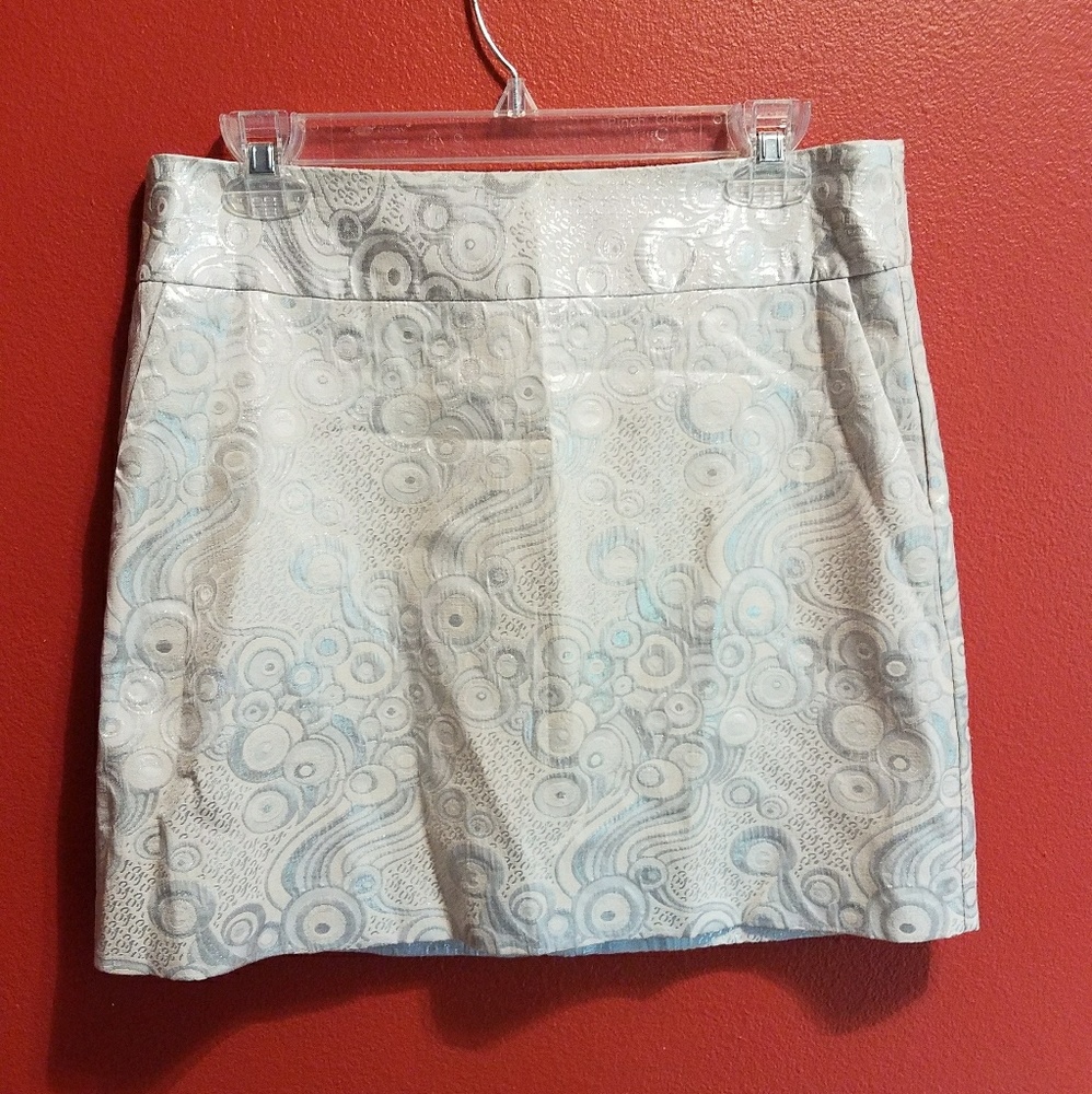 Banana Republic Embroidered Silver Mini Skirt
