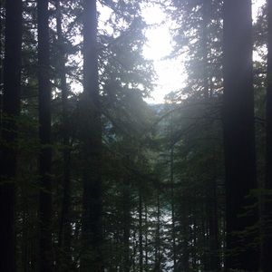 Meet your Posher, Maureen