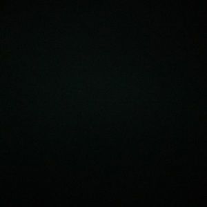 Meet your Posher, Shawntaye