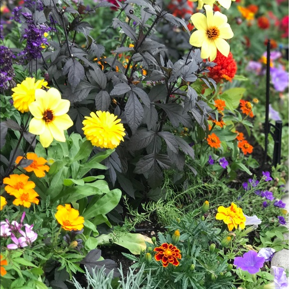 Meet your Posher, Steve - Picture 1 of 1