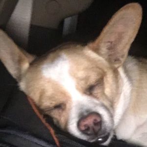 Meet your Posher, Cata