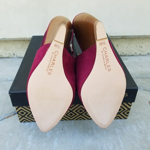 Sexy Charles David x Free People Wedge Booties - Picture 6 of 7