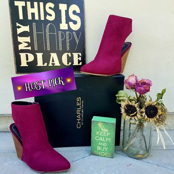 Sexy Charles David x Free People Wedge Booties - Picture 2 of 7