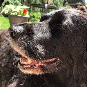 Meet your Posher, Julia