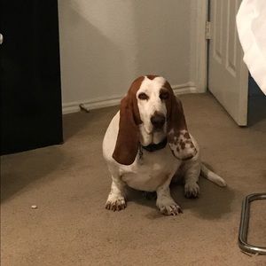 Meet your Posher, Aly