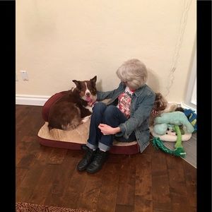 Meet your Posher, Lacy