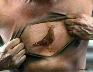 Meet your Posher, Pedro