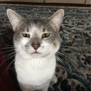 Meet your Posher, Sandra