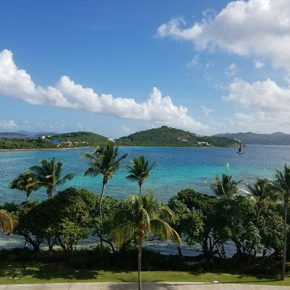 Meet your Posher, Mila - Picture 3 of 4