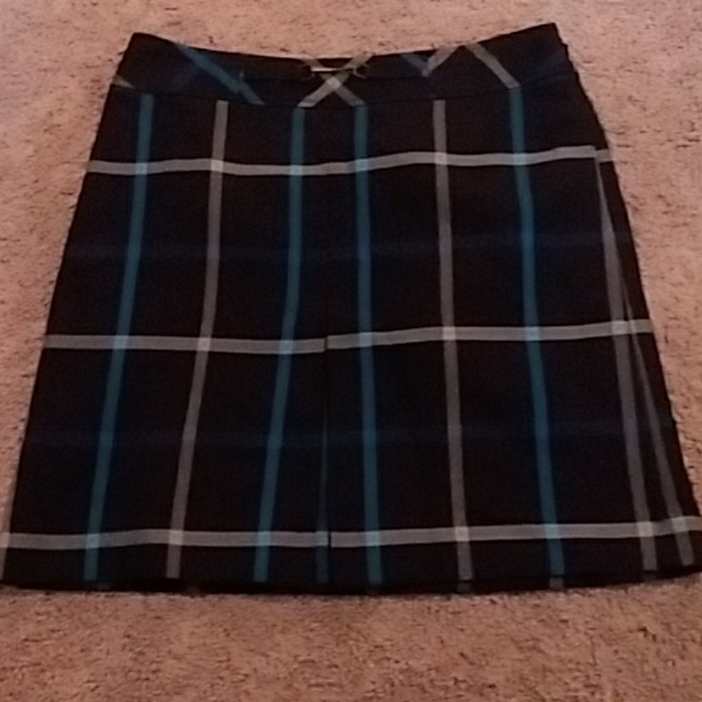 Ann Taylor Loft skirt