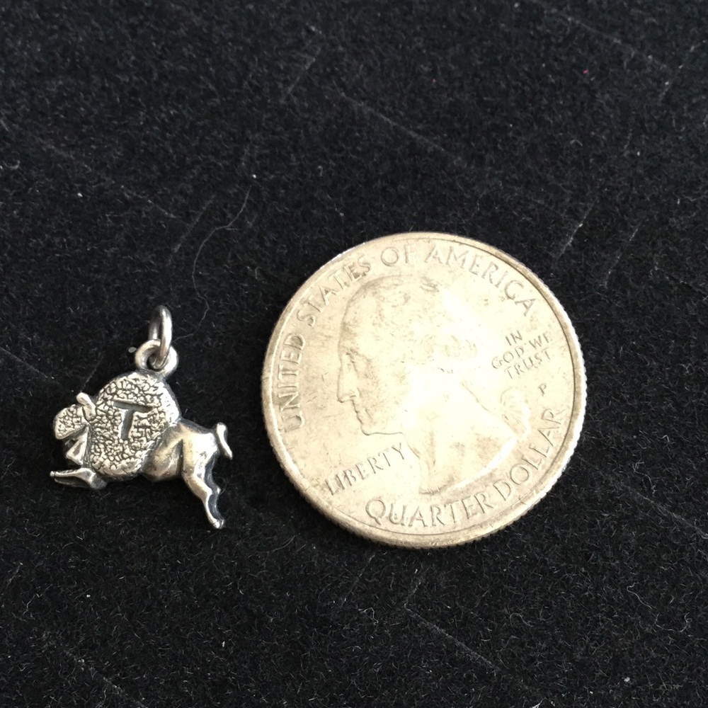 💯 % Pre-Owned James Avery Camp Mystic charm